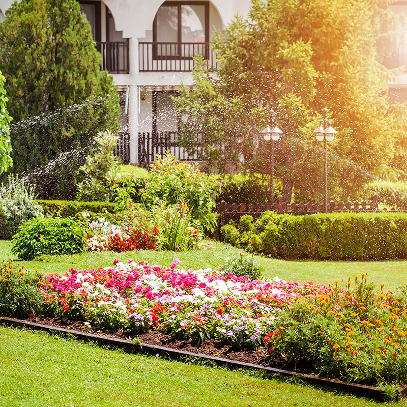 Garden Bed with Flowers in Lawn