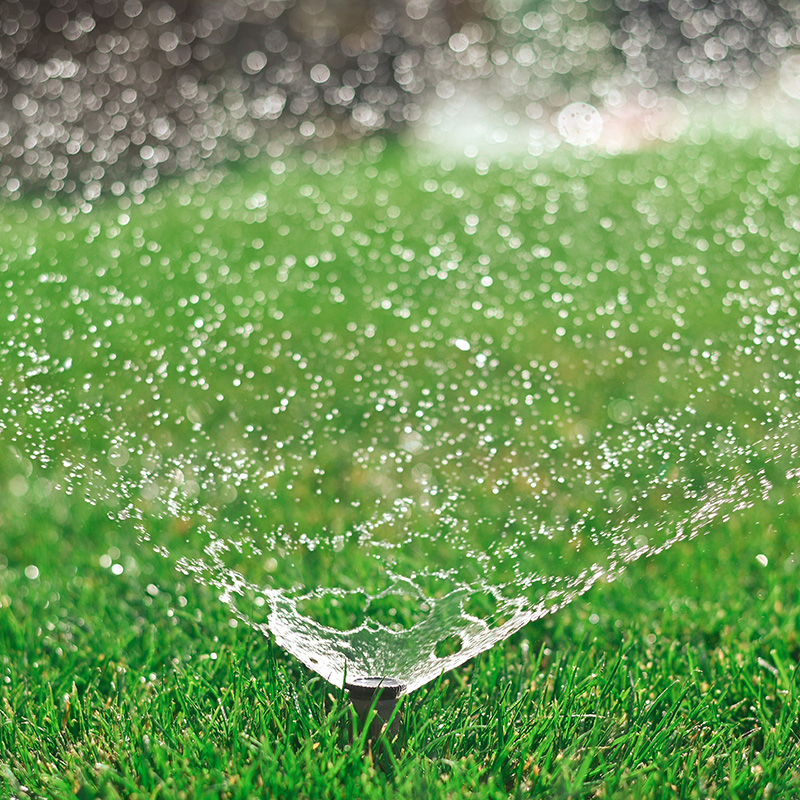 Sprinkler system irrigating a green lawn