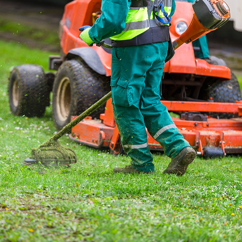 Lawn service workers mowing the green grass