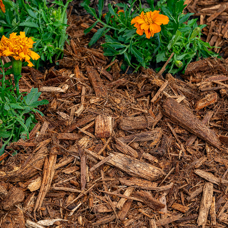 Brown wood mulch in flowerbed